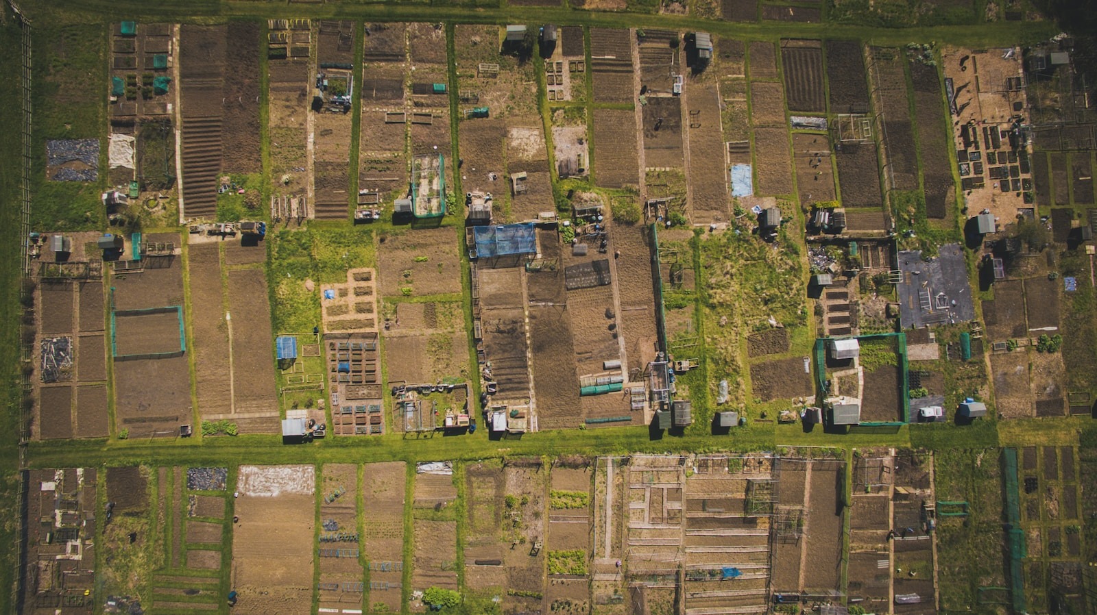 bird's eye view of buildings and grass